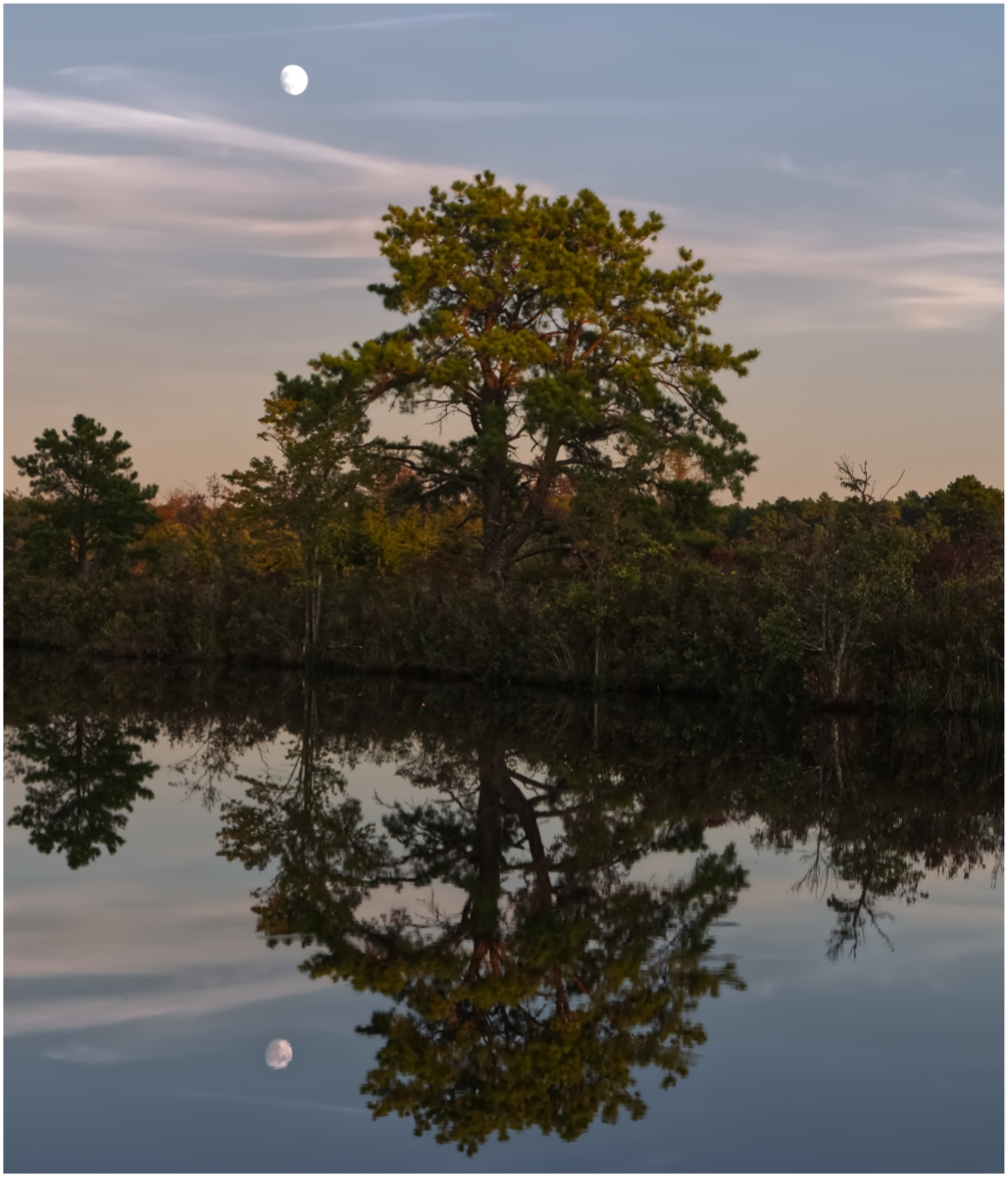 Reflection